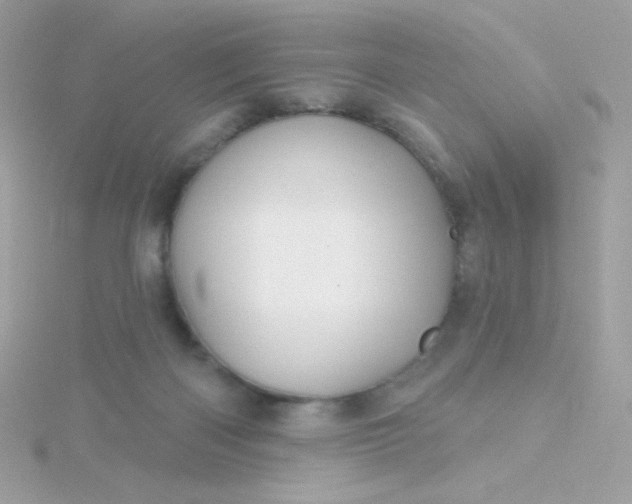 X0000115690122200911251821