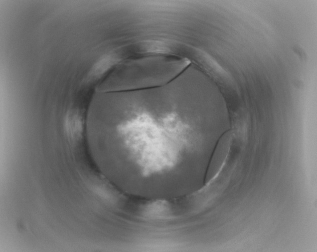 X0000115690124200911251821