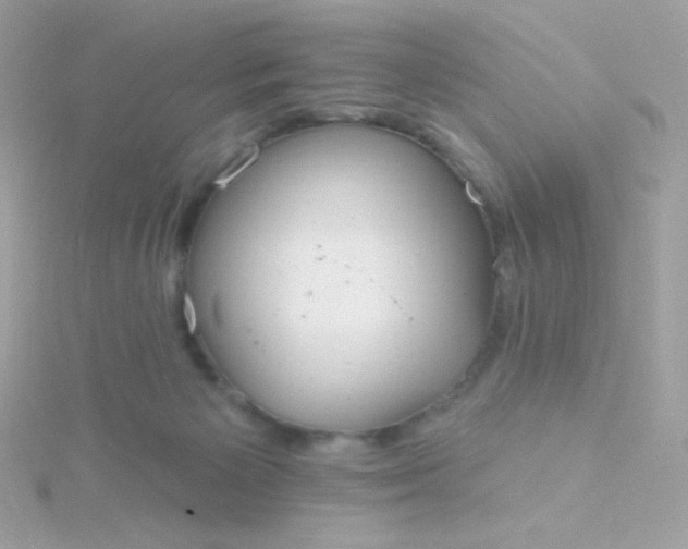 X0000115690125200911251821