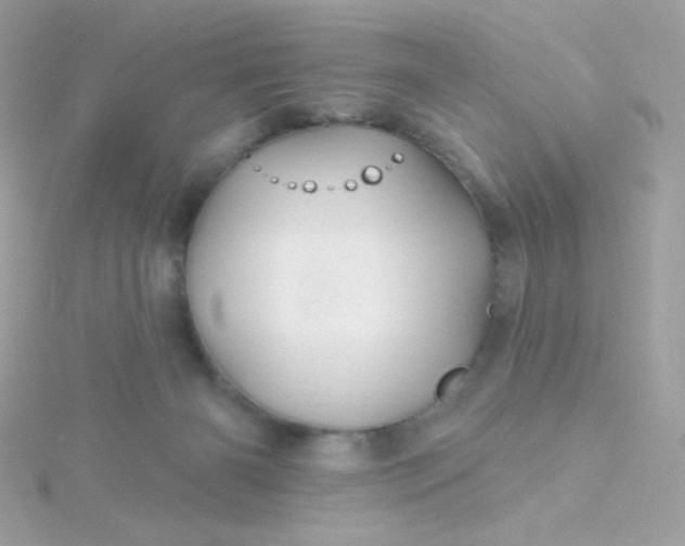 X0000115690126200911251821