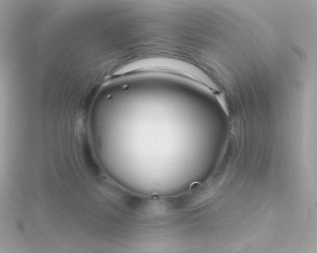 X0000115690127200911251821