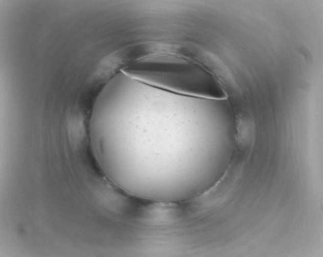 X0000115690128200911251821