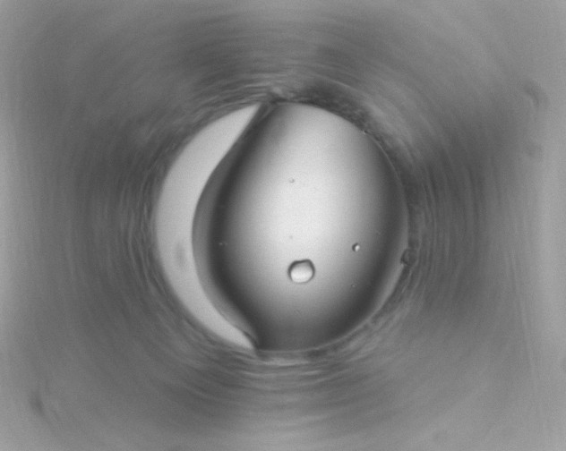 X0000115690129200911251821