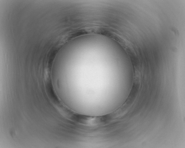 X0000115690130200911251821