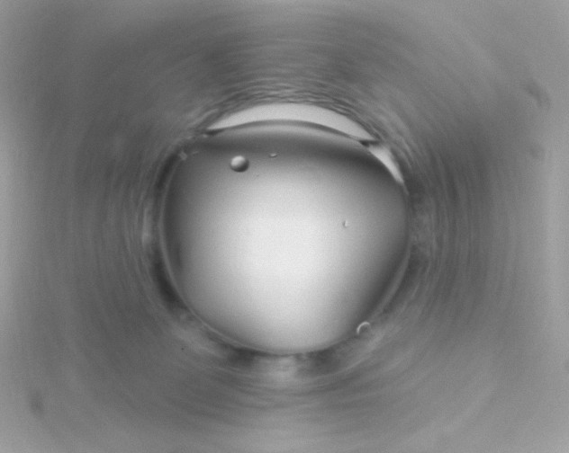 X0000115690131200911251821