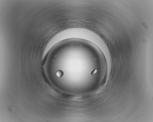 X0000115690132200911251821