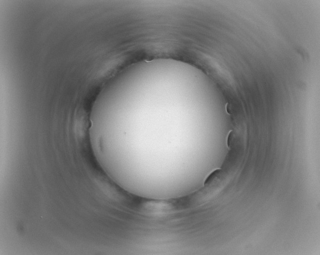 X0000115690133200911251821