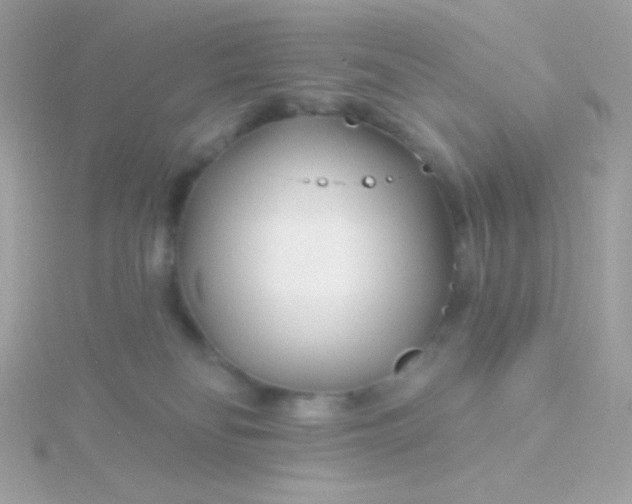 X0000115690134200911251821