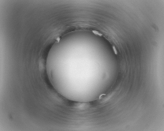 X0000115690135200911251821