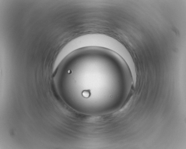 X0000115690136200911251821