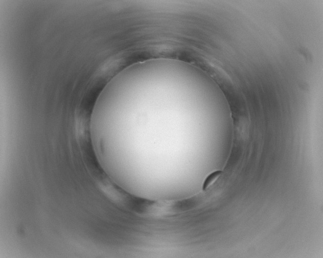 X0000115690138200911251821