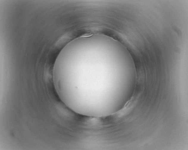 X0000115690140200911251821