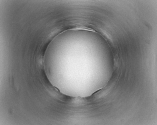 X0000115690141200911251821