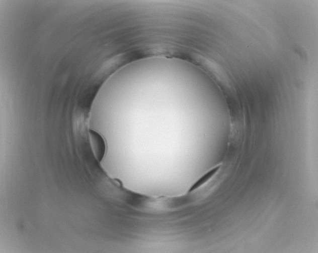 X0000115690142200911251821