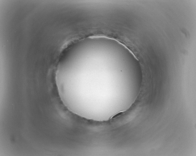 X0000115690144200911251821