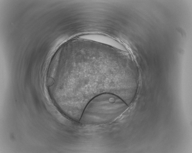 X0000115690145200911251820