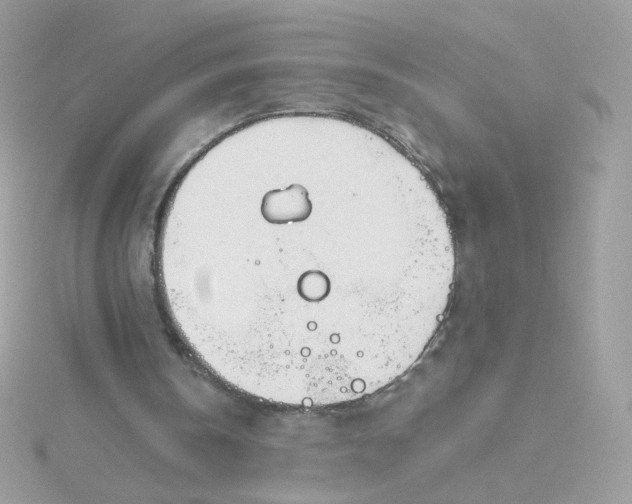 X0000115690146200911251820