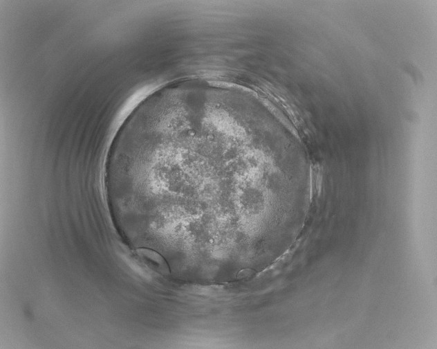 X0000115690147200911251820