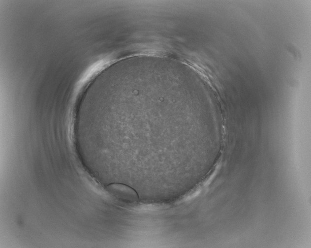 X0000115690149200911251820