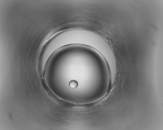 X0000115690150200911251820