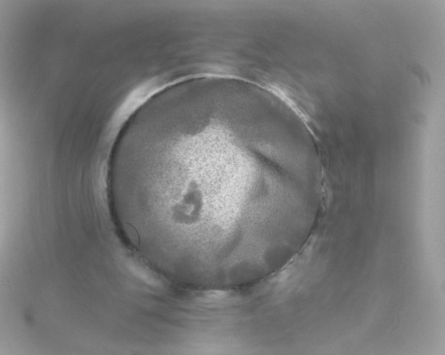 X0000115690151200911251820