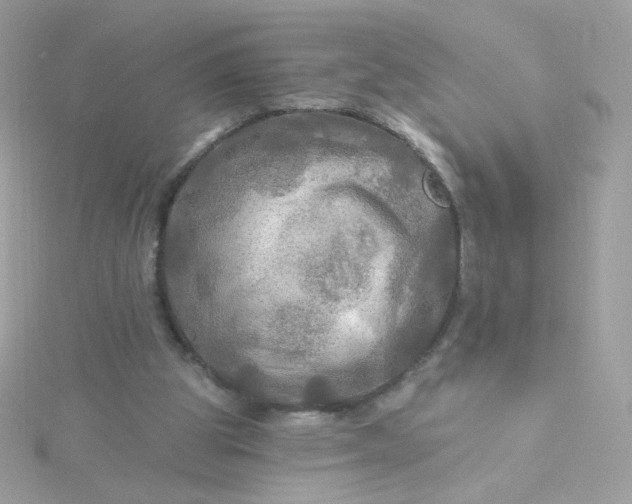 X0000115690153200911251820