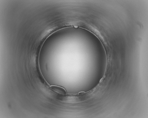 X0000115690154200911251820