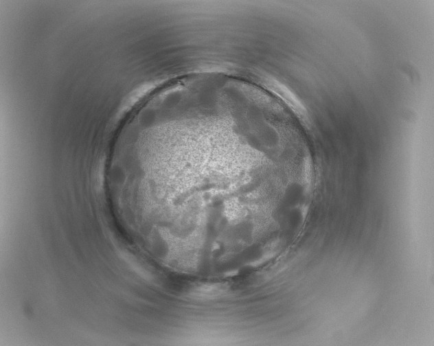 X0000115690155200911251820