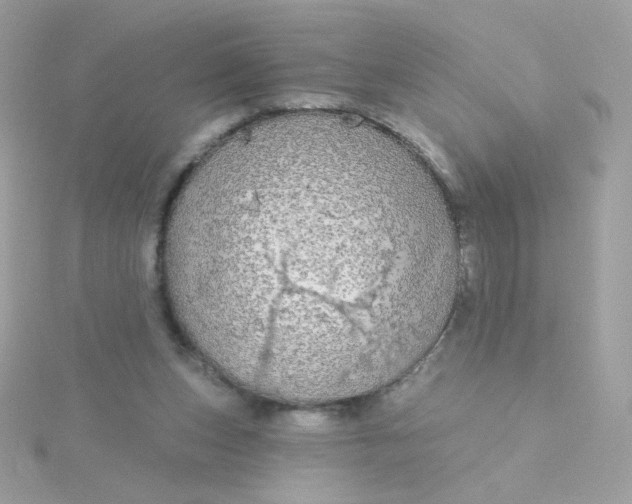 X0000115690159200911251820