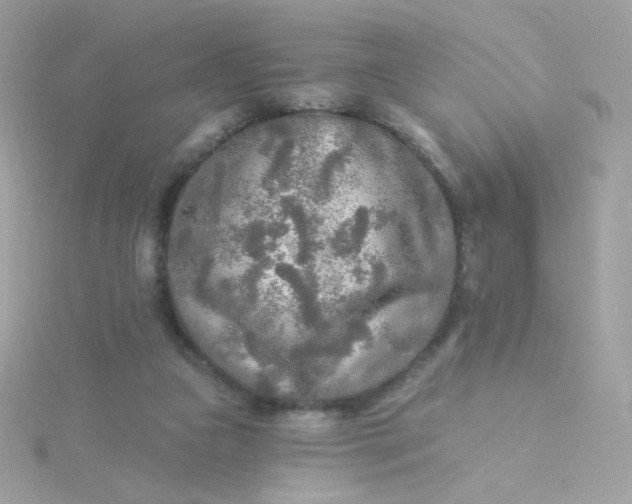 X0000115690161200911251820