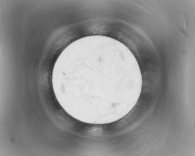 X0000115690162200911251820