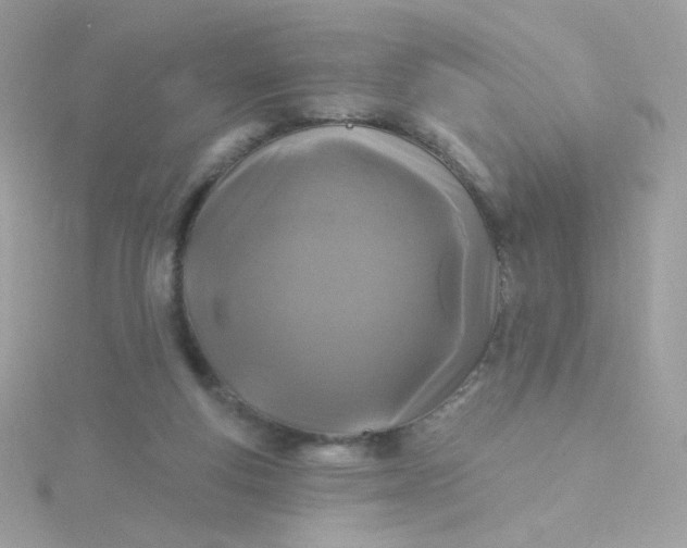 X0000115690163200911251820