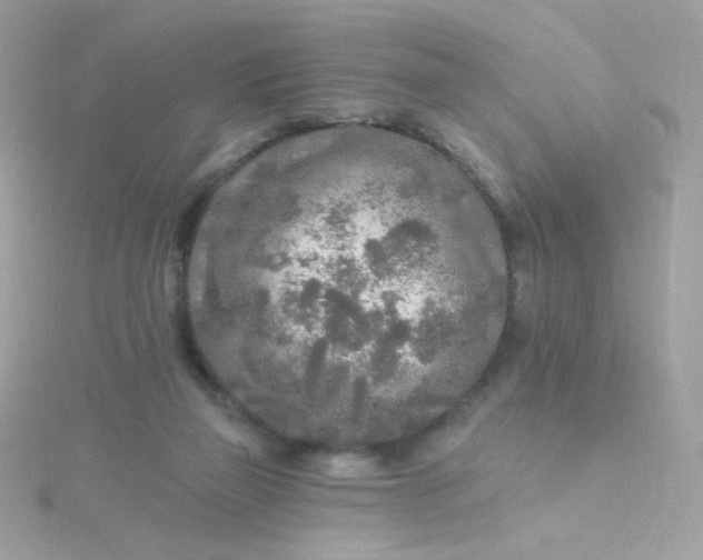 X0000115690165200911251820