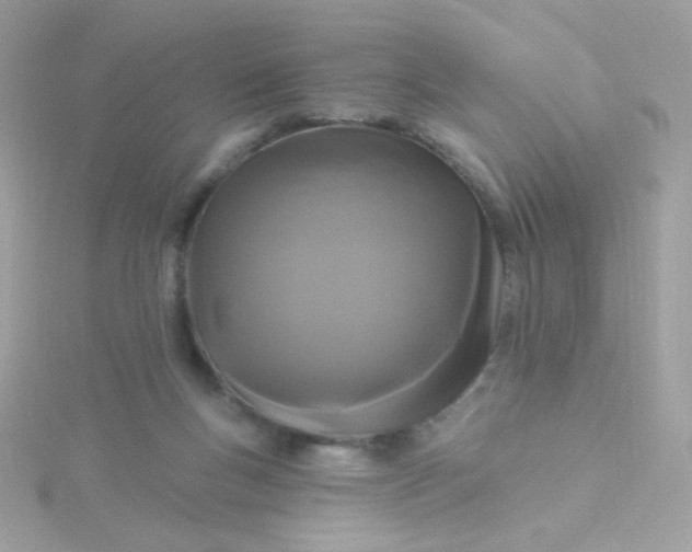 X0000115690167200911251820