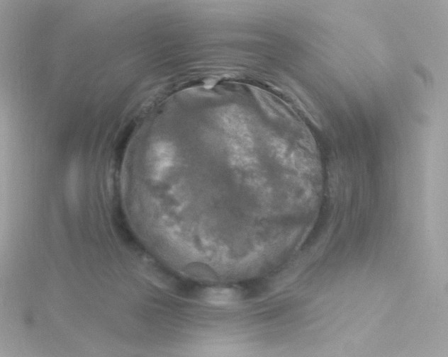 X0000115690169200911251820