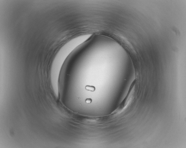 X0000115690170200911251820