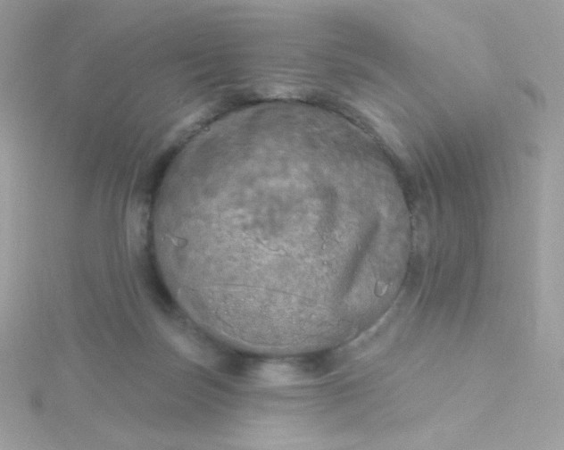 X0000115690171200911251820