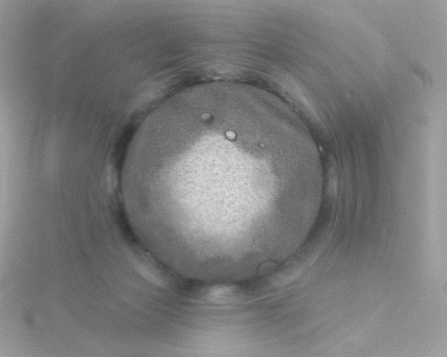 X0000115690173200911251820