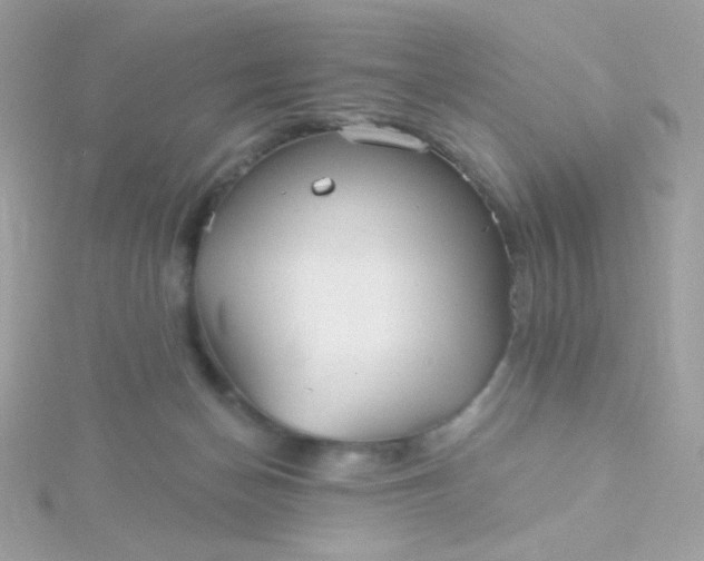 X0000115690174200911251820