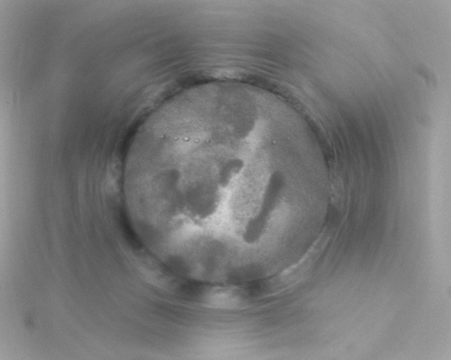 X0000115690175200911251820