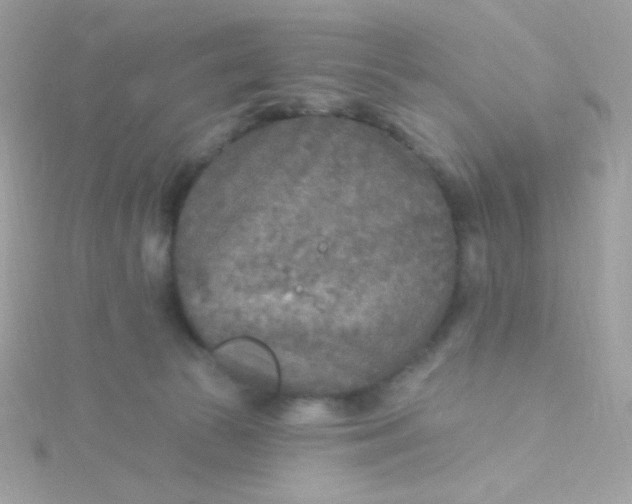 X0000115690177200911251820