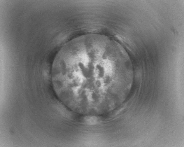 X0000115690181200911251820