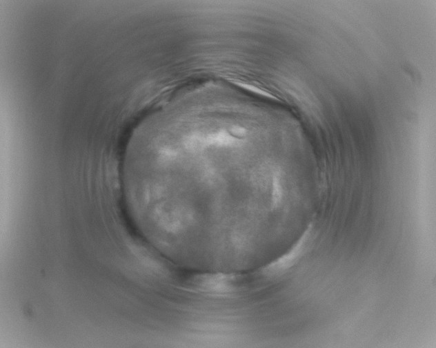 X0000115690182200911251820