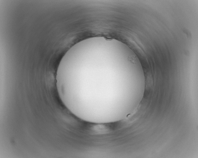 X0000115690183200911251820