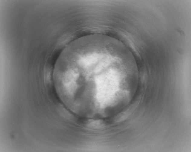 X0000115690185200911251821