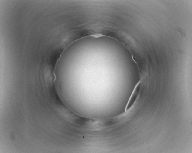 X0000115690186200911251821