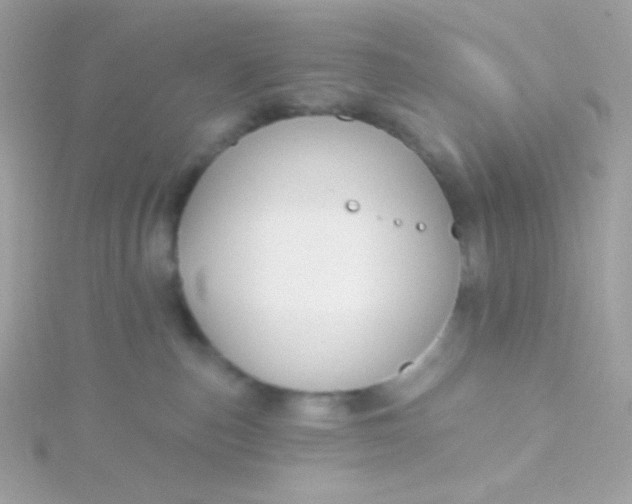 X0000115690187200911251821