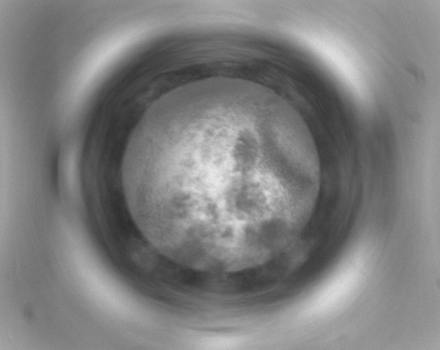 X0000115690189200911251821