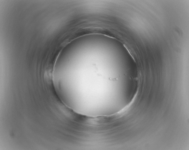 X0000115690190200911251821