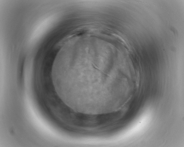 X0000115690191200911251821